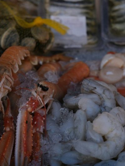 Fresh Seafood / Mariscos Frescos