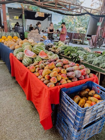 Organic Delivery / Entrega Orgánica